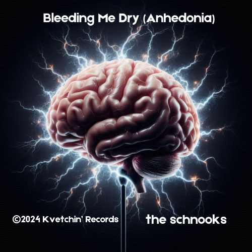About “Bleeding Me Dry (Anhedonia)”