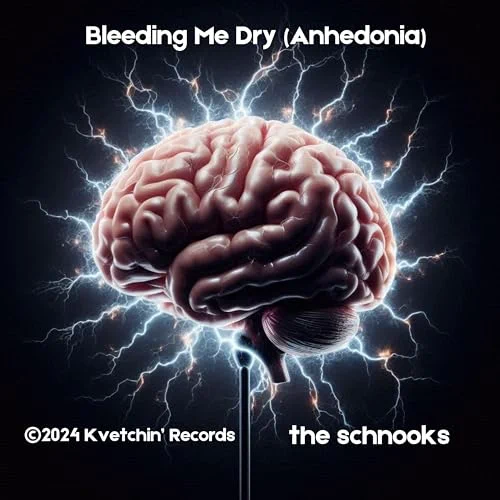 About Bleeding Me Dry (Anhedonia)